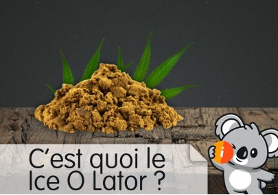 C'est quoi l'Ice O Lator ou Bubble Hash ? CBD hash avis et effet, fabrication, comment fumer