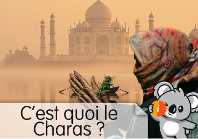 Charas CBD : avis et effet, hash, inde, comment l'utiliser