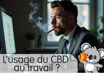 Usage du CBD au travail : légal, loi, consommation, autorisé ou interdit ?