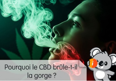 Pourquoi le CBD brûle-t-il la gorge ? Comment éviter que ça pique ? Huile, e-liquide...