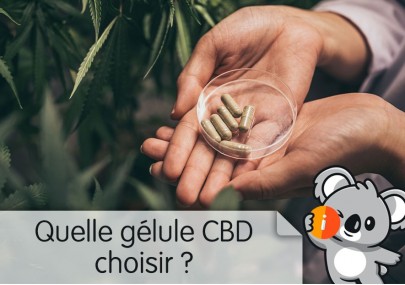 Quelle gélule CBD choisir ? | douleur, stress, sommeil, puissante, full spectrum