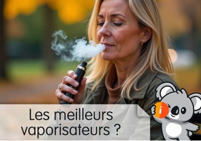 Les meilleurs vaporisateurs à herbes sèches : fleurs résines concentrés CBD, avis et effet, santé