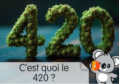 420 signification spirituelle | Drogue, weed cannabis, tinder, origine, théories