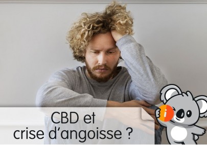 CBD et crise d'angoisse : avis et effet, témoignage, stress et anxiété