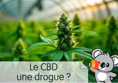 Est-ce que le CBD est une drogue ou pas ? Différence, effet, stupéfiant, légal