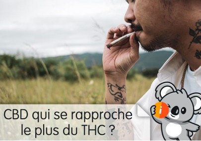 CBD qui se rapproche le plus du THC ? Le plus puissant à fumer en France, défonce, plus fort, fait planer