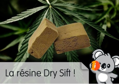 Résine Dry Sift c'est quoi ? : avis effet, hash CBD le plus fort, comment faire et conserver