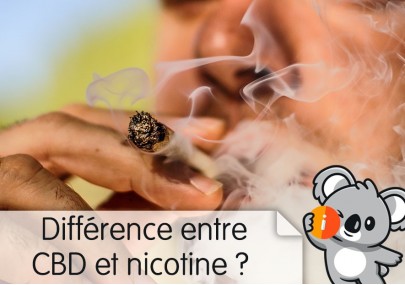 Différence CBD et nicotine : arrêter de fumer, effet sevrage tabac, aide naturelle substitut