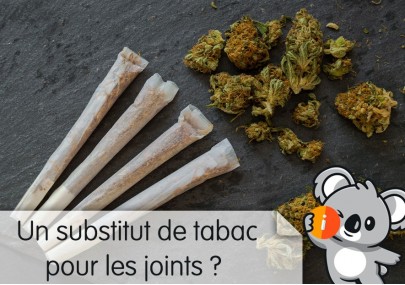 Substitut de tabac à fumer pour joint, pour CBD, naturel sans nicotine, avis et effet