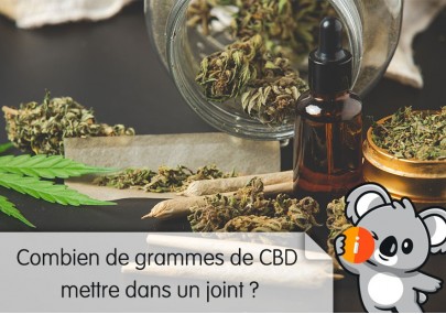 Combien de grammes de CBD mettre dans un joint ? Dosage, rouler avec substitut tabac