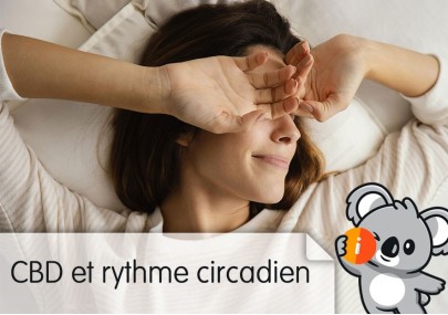 CBD et rythme circadien, c'est quoi ? | Avis et effet pour mieux dormir