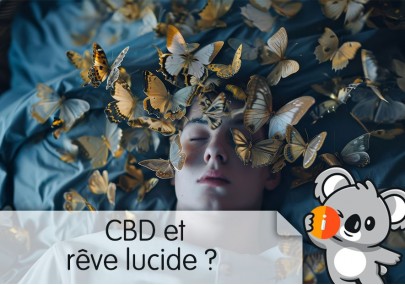 CBD et rêve lucide, bizarre : avis et effet cauchemar, sevrage de cannabis