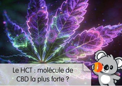 HCT CBD c'est quoi ? | Avis effet psychoactif, nouvelle molécule la plus forte 2026, légal