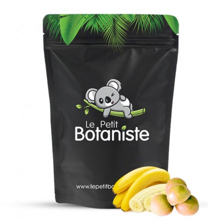 Pastille CBD bio