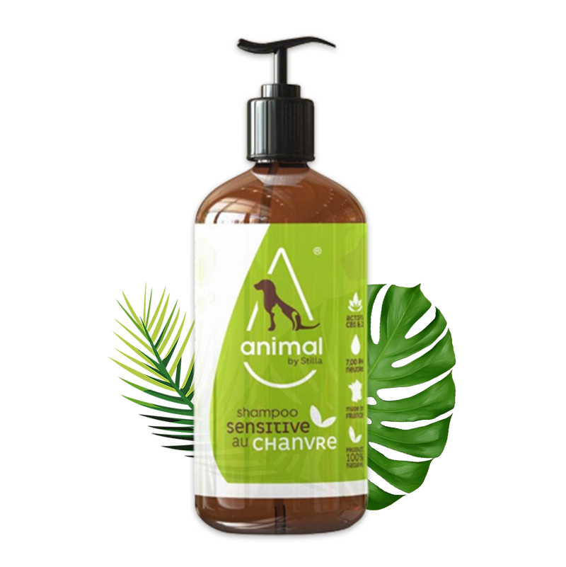 Shampoing animaux CBD : shampoing chanvre chat / chien