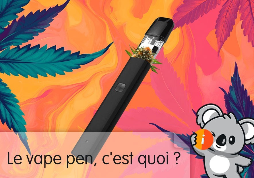 Le vape pen, c'est quoi ? | Avis et effet Meilleur vape CBD jetable rechargeable