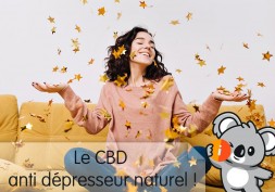 CBD antidépresseur naturel | Anxiolytique, bienfaits stress, anxiété, dépression