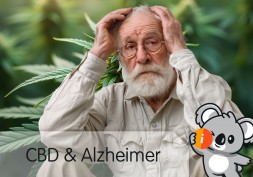 CBD et maladie d'Alzheimer | Perte de mémoire, démence, effet concentration, troubles cognitifs