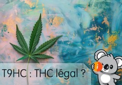 T9HC : avis et effet nouveau CBD psychoactif, THC légal pour planer