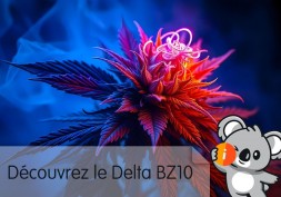 Delta BZ10 : avis et effet nouvelle molécule CBD, beuh puissante légale