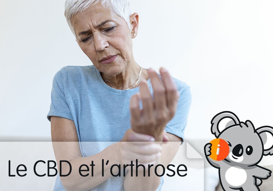 CBD et arthrose : avis, effets, soulagement antidouleur, ça fonctionne ?