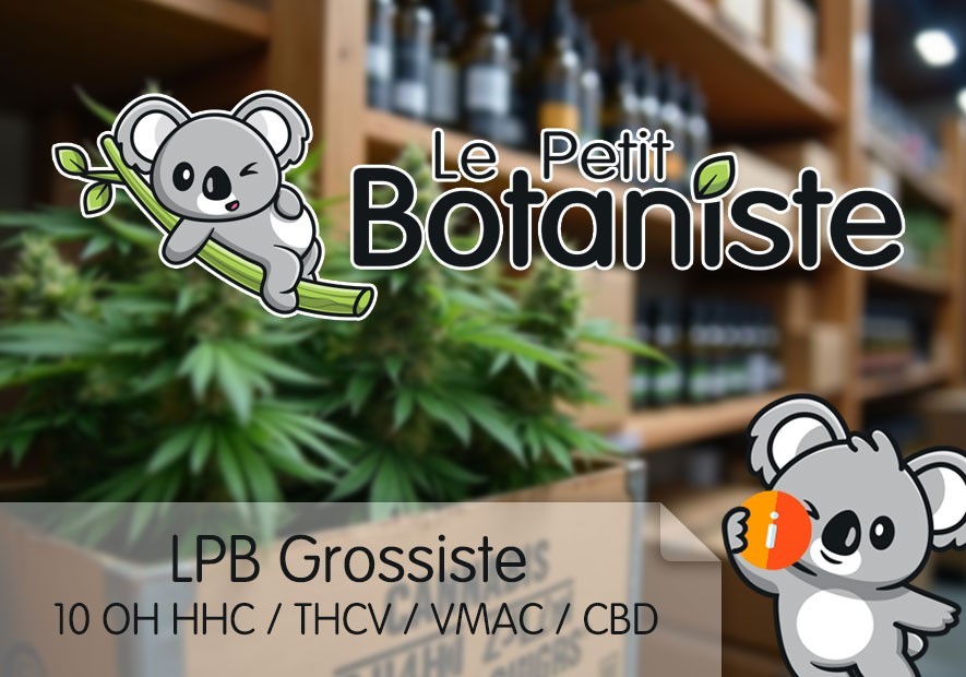 Grossiste 10 OH HHC fleur et résine, fournisseur THCV / VMAC CBD